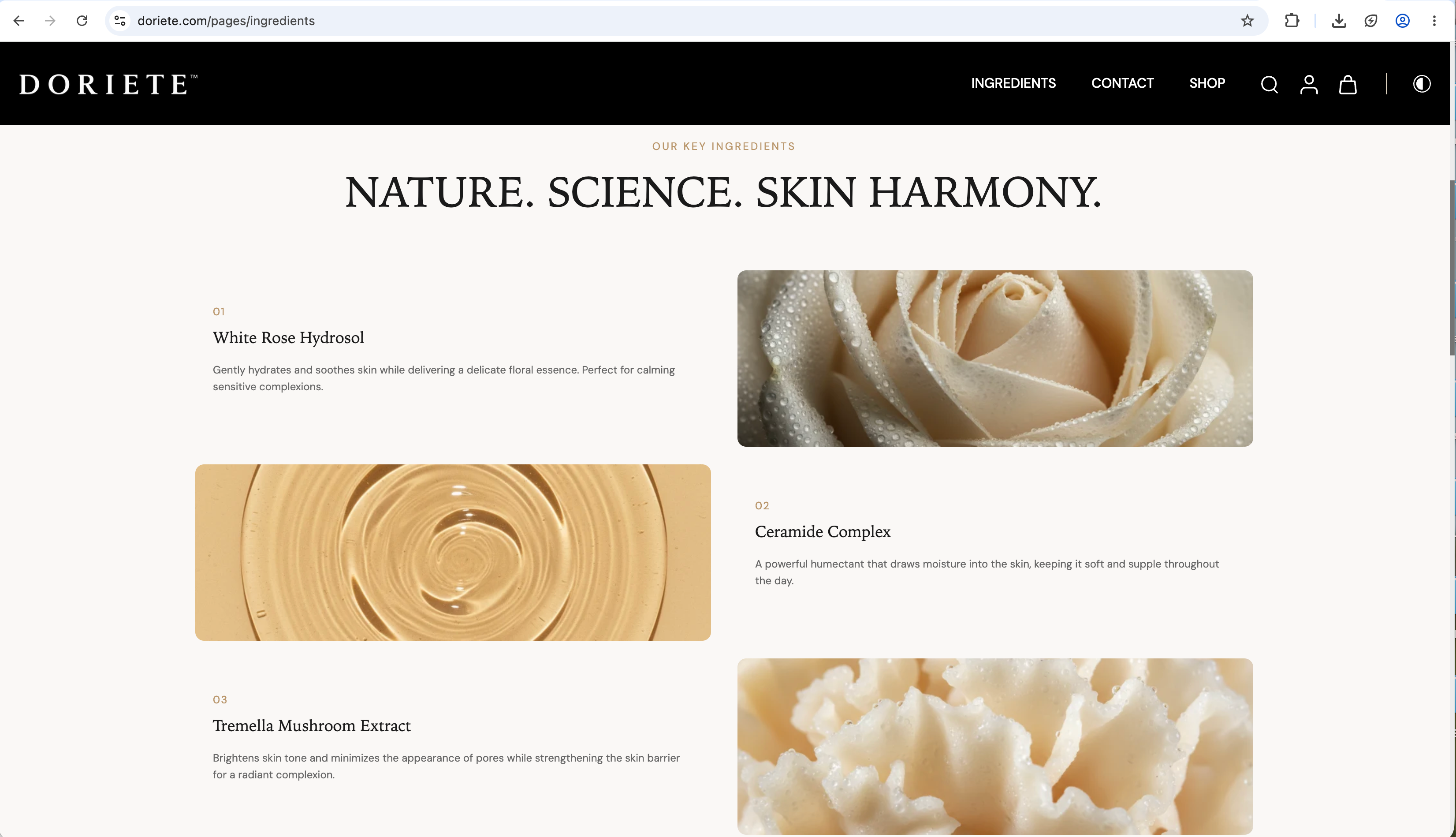 DORIETE INGREDIENTS PAGE